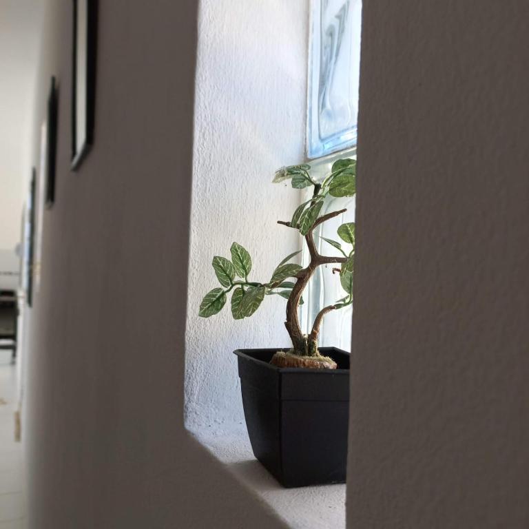 Departamentos por día en Curuzú - Apartamento de 2 dormitorios - 17