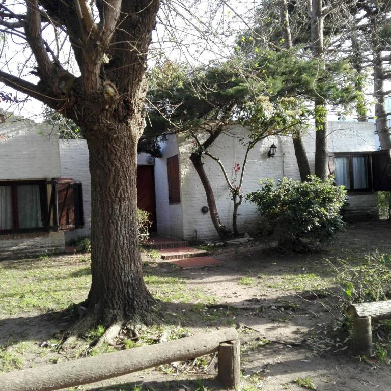 Annama - Two-Bedroom House - 7