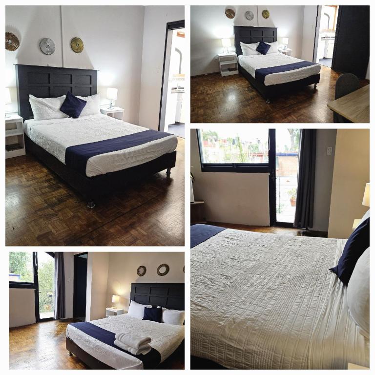 Singular Coyoacán Pepper My Love! - Suite with Balcony - 6