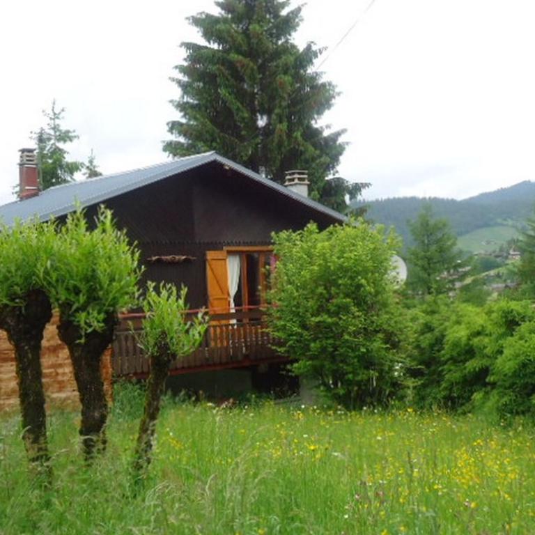 Chalet savoyard avec terrasse, proche des pistes et vue sur montagne - FR-1-459-129 - Chalet (6 adultos) - 14