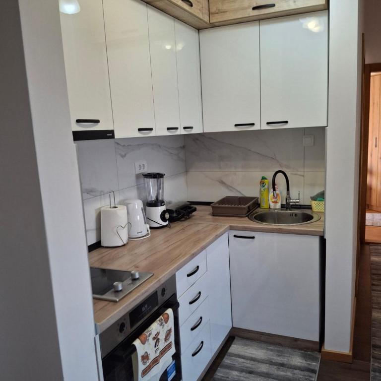 Apartman Dunja - Apartman sa 2 Spavaće Sobe - 29