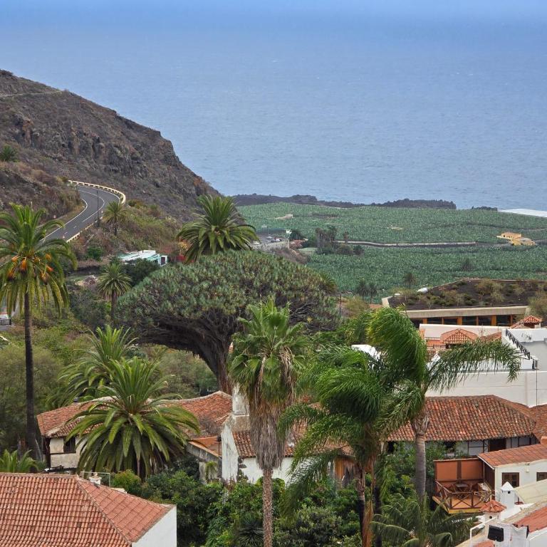 Cozy Izan Drago Apartment in Icod de los Vinos - Apartamento de 1 dormitorio - 24