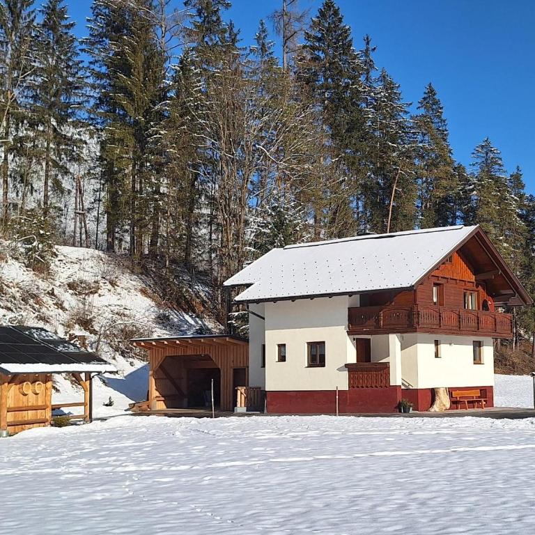 Chalet Lärchforst - Ferienhaus - 46