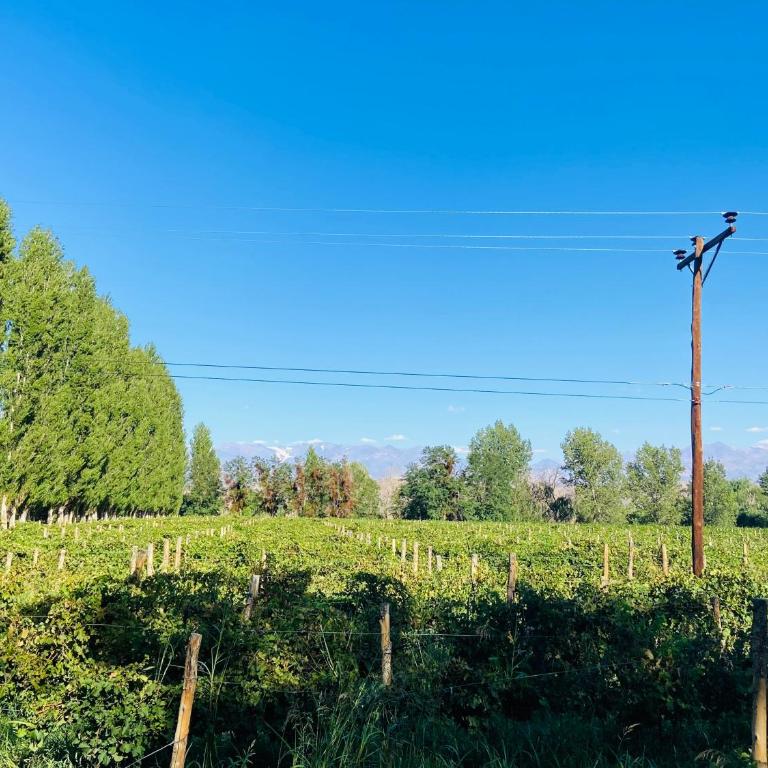 FINCA TIERRA CALMA Casa 1 - Chalet de 2 dormitorios - 14