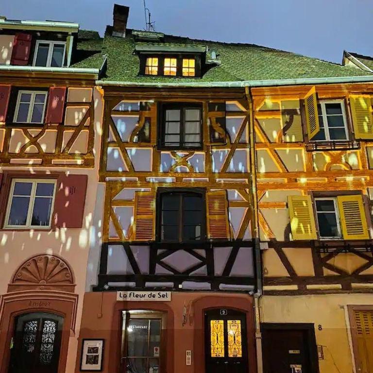 À la petite Venise hyper centre Colmar - Appartement 1 Chambre - 5