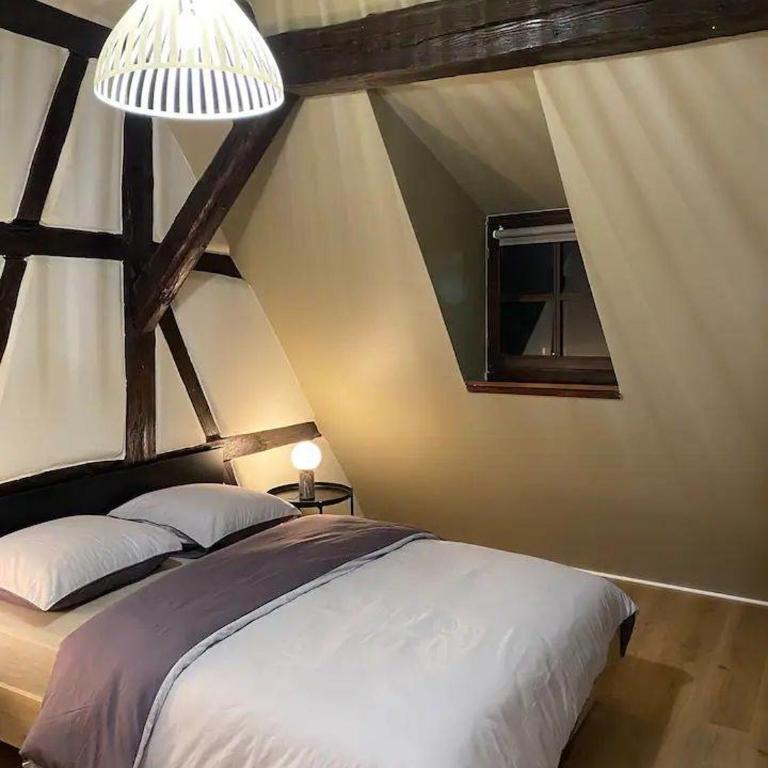 À la petite Venise hyper centre Colmar - Appartement 1 Chambre - 3