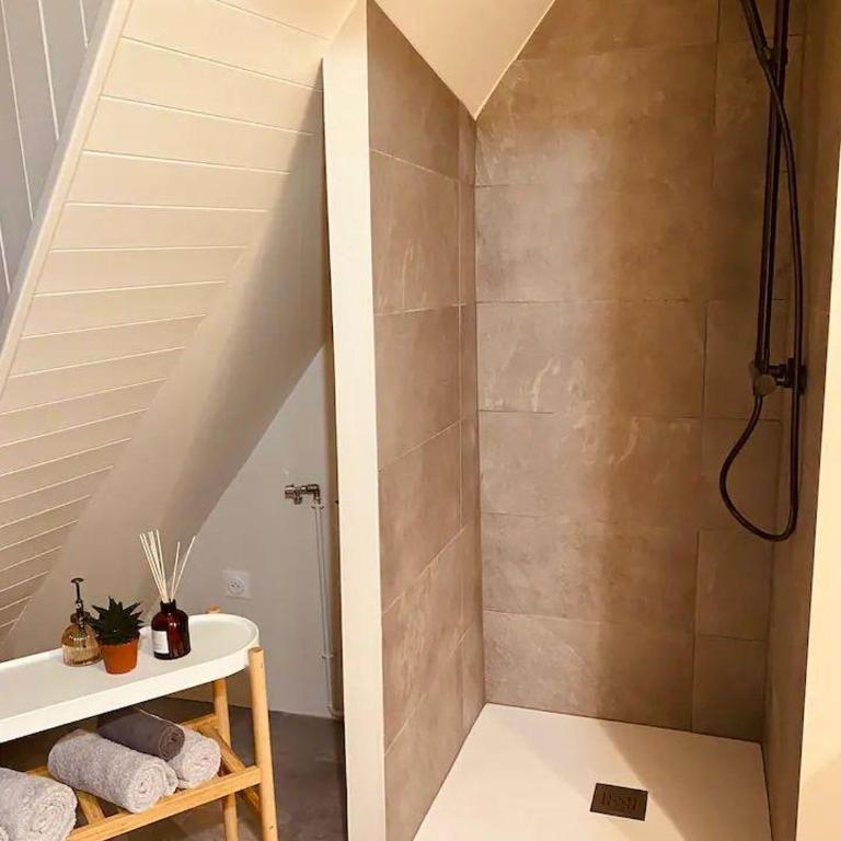 À la petite Venise hyper centre Colmar - Appartement 1 Chambre - 4