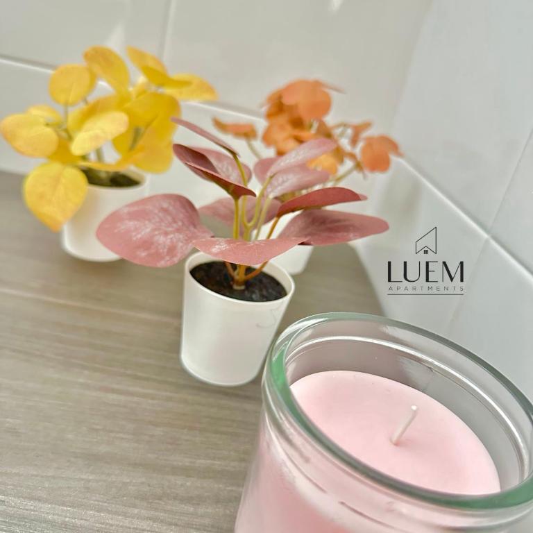 Luem Apartments - One-Bedroom House - 20