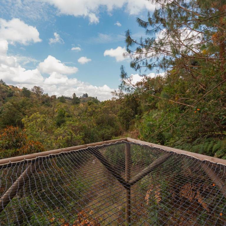 BubbleSky Glamping 40 min from Medellin - Habitación Doble Deluxe - 4