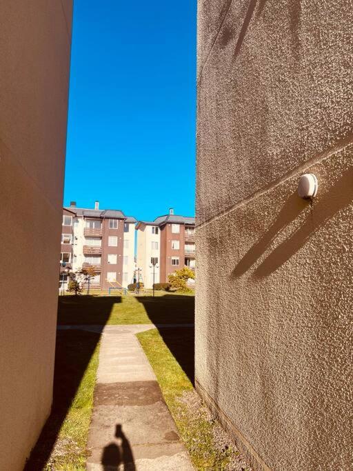 Hermoso departamento con estacionamiento gratuito - Two-Bedroom Apartment - 11