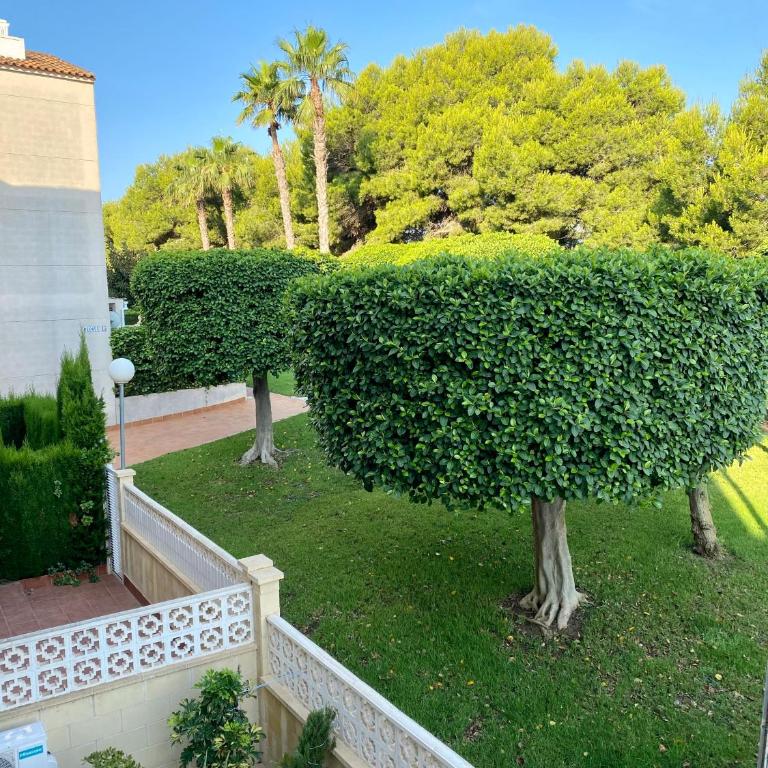 Torrevista three bedroom apartment, two swimming pools and garage - Apartamento de 3 dormitorios - 16