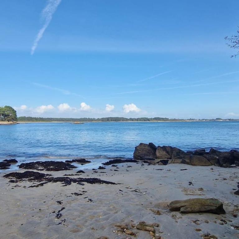La Villa des Ajoncs, accès privé à la plage - Villa - 16