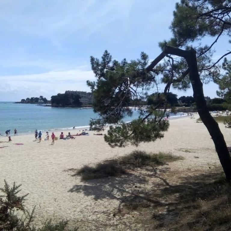 La Villa des Ajoncs, accès privé à la plage - Villa - 17