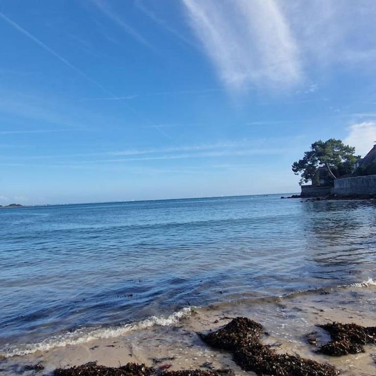La Villa des Ajoncs, accès privé à la plage - Villa - 23