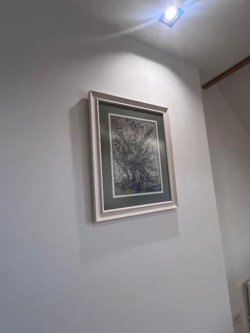 Pine View - Apartman sa 1 Spavaćom Sobom - 20