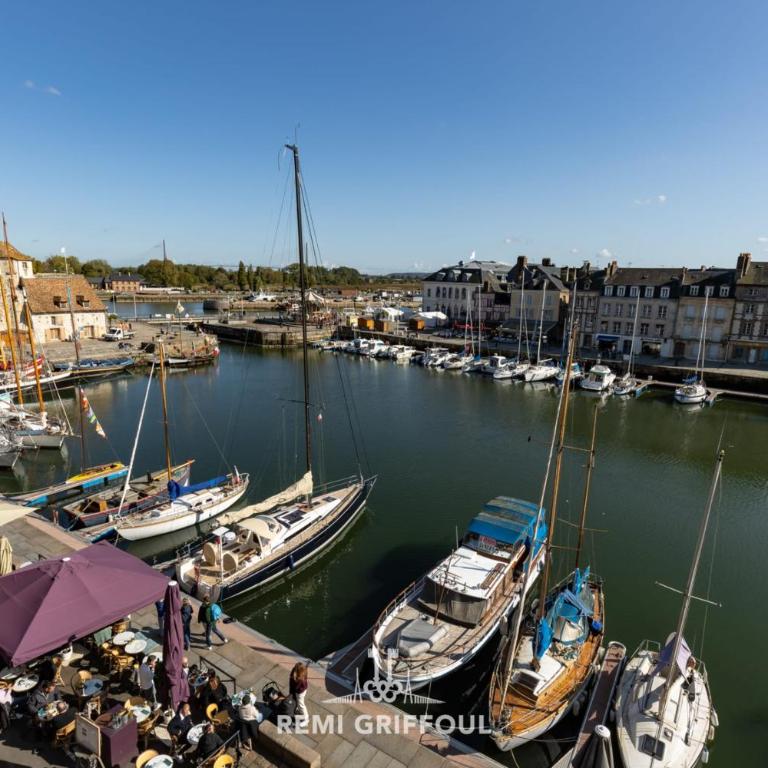 Dolphin View - 2nd floor - Beautiful flat with view of the port - Appartement - 2