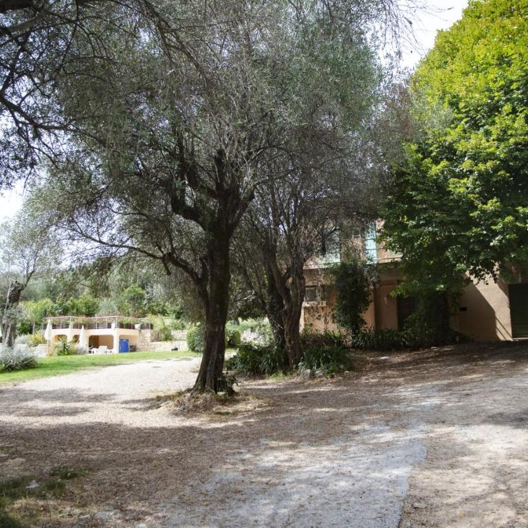 Grasse Mongibello - Villa - 25