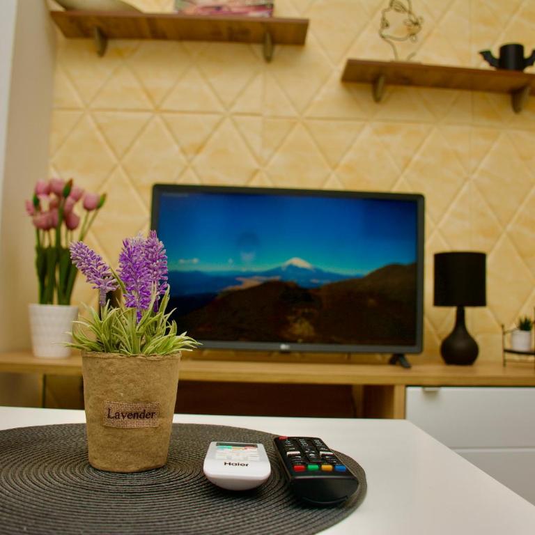 Sky - Apartman sa 1 Spavaćom Sobom - 2