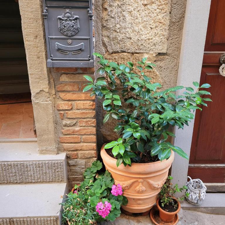 Casa della Rosa - Appartamento con 1 Camera da Letto - 16