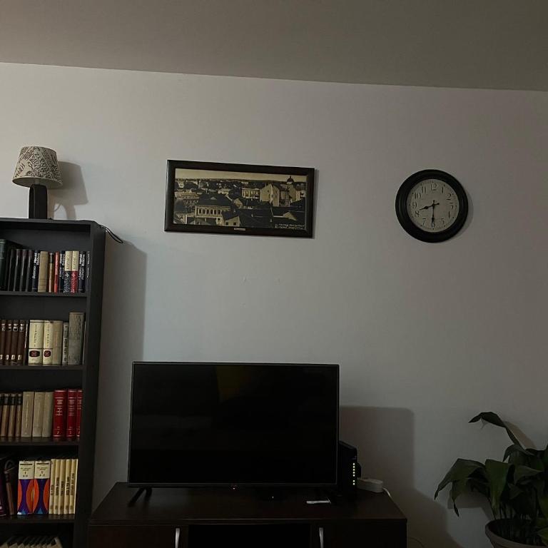 Apartman Ranković - One-Bedroom Apartment - 7