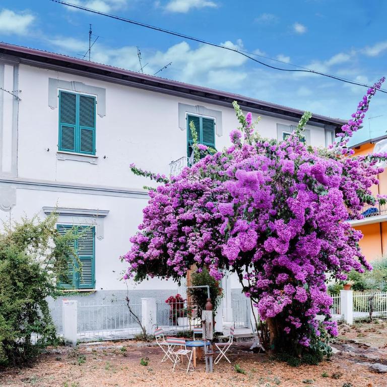 Casa elegante in mezzo al verde - Two-Bedroom Apartment - 2