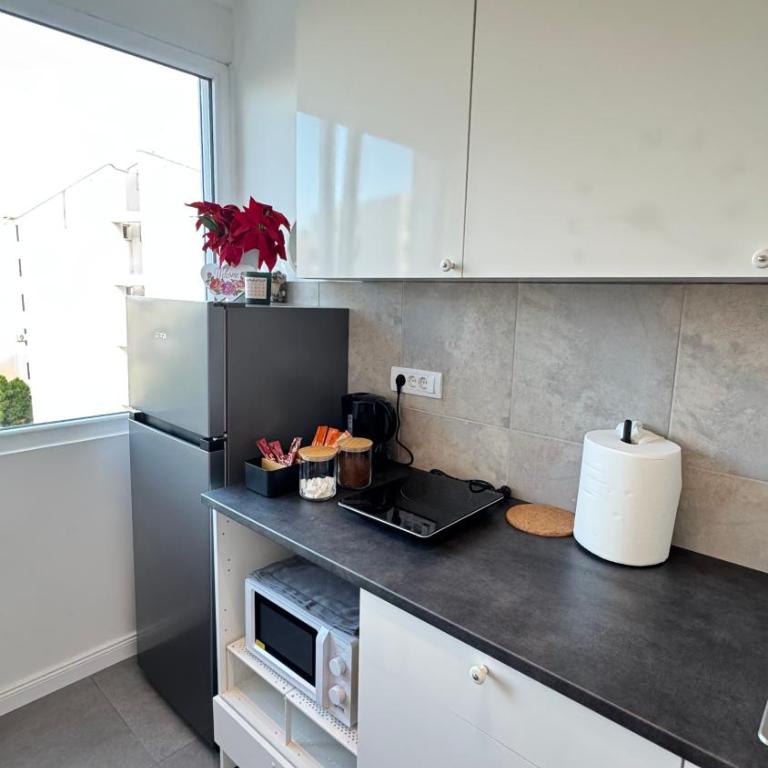 LUNI Apartmants Vracar - Luksuzna Trokrevetna Soba - 44