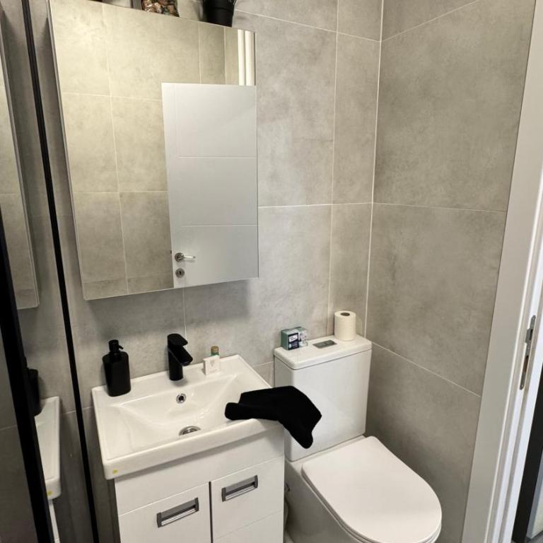 LUNI Apartmants Vracar - Luksuzna Trokrevetna Soba - 50