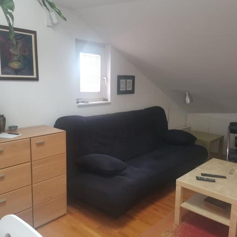 Loft Zemun - Potkrovlje - 1