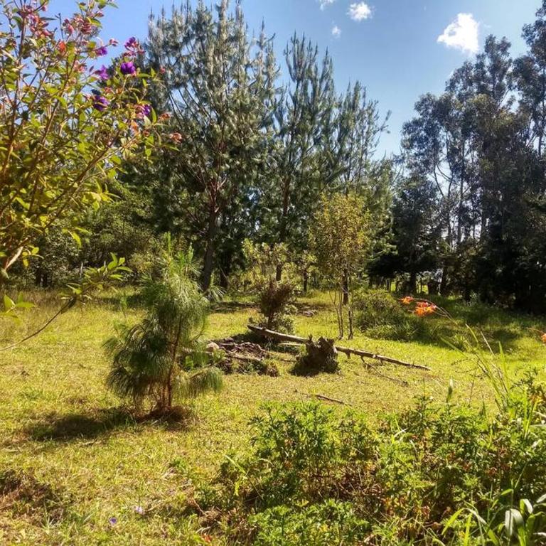 Pequeña y encantadora cabaña en Villa de Leyva - One-Bedroom House - 4
