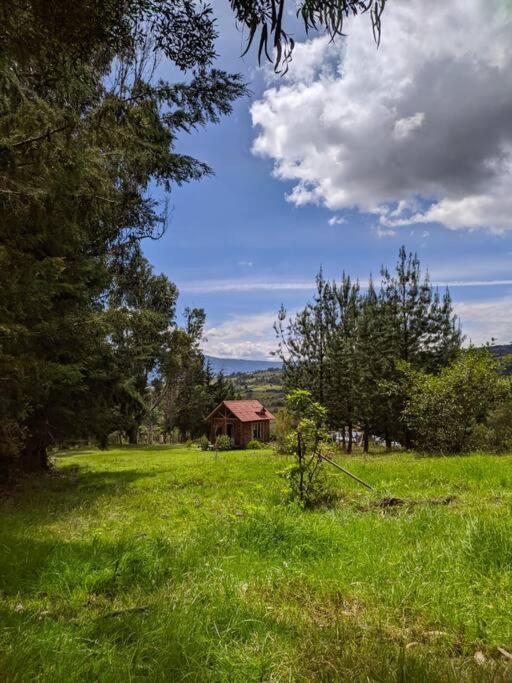Pequeña y encantadora cabaña en Villa de Leyva - One-Bedroom House - 11