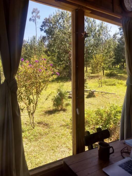 Pequeña y encantadora cabaña en Villa de Leyva - One-Bedroom House - 14