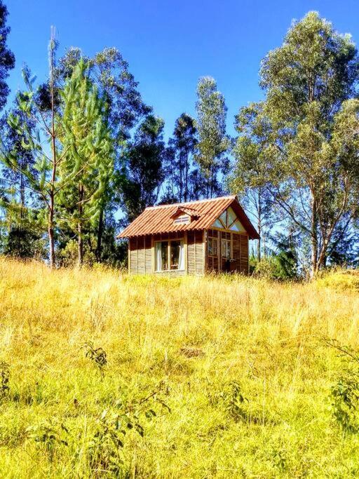 Pequeña y encantadora cabaña en Villa de Leyva - One-Bedroom House - 16