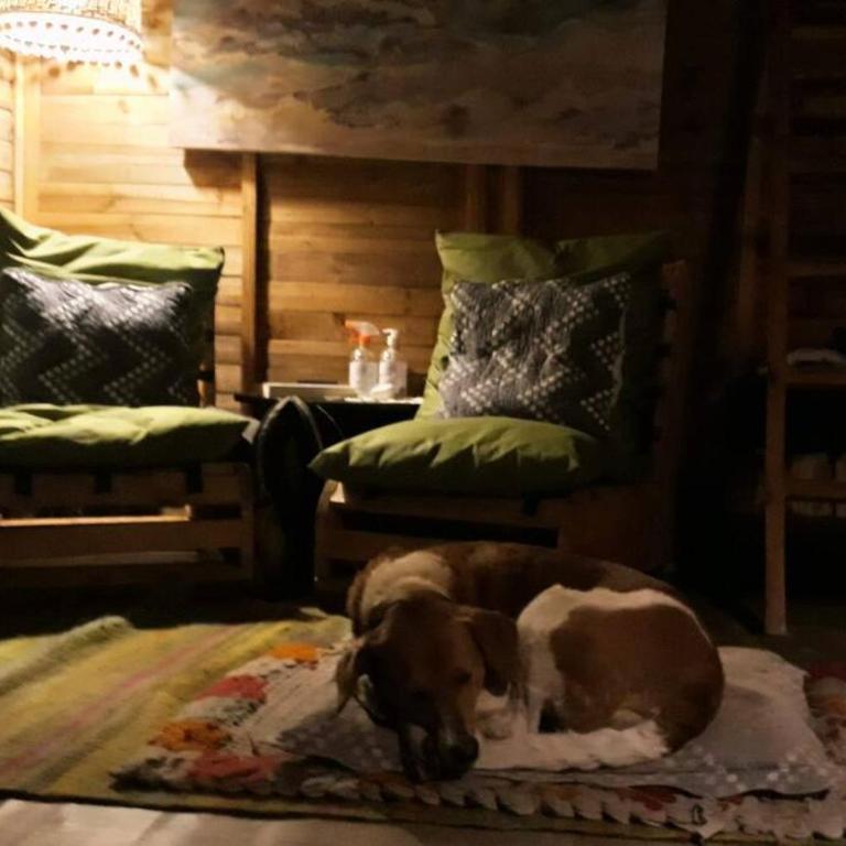 Pequeña y encantadora cabaña en Villa de Leyva - One-Bedroom House - 19