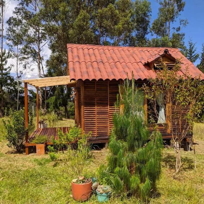 Pequeña y encantadora cabaña en Villa de Leyva - One-Bedroom House - 28
