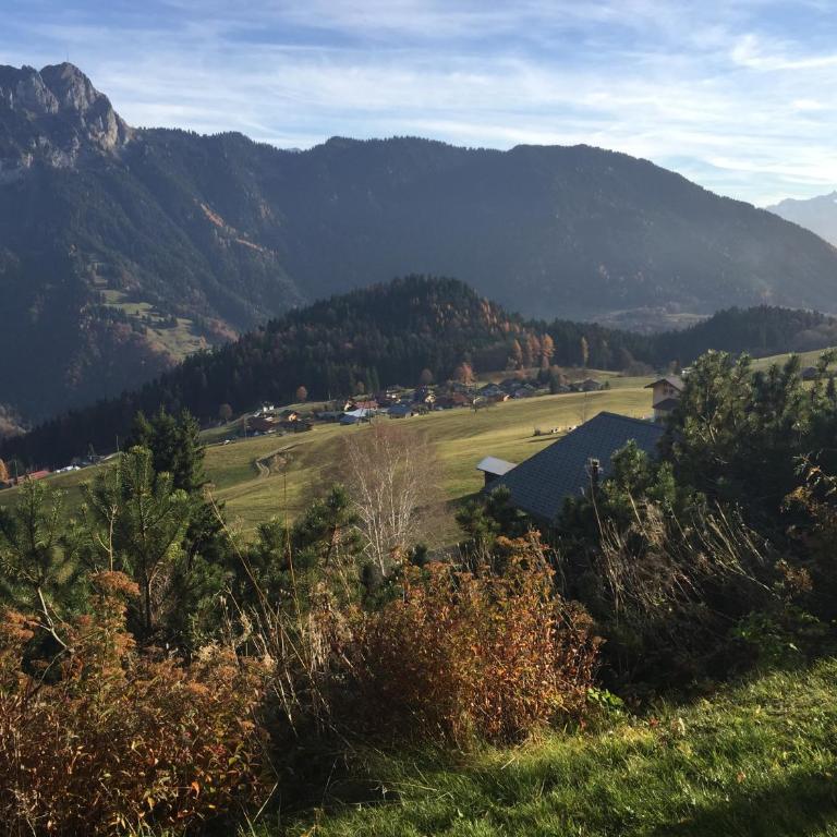 La petite Silene - Apartment mit Blick auf die Berge - 27