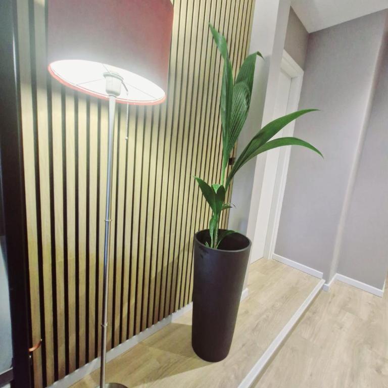 Vatican Charme&Chic - Deluxe Zimmer - 20