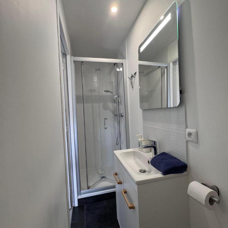 Charmant Studio Centre ville - Appartement 1 Chambre - 6