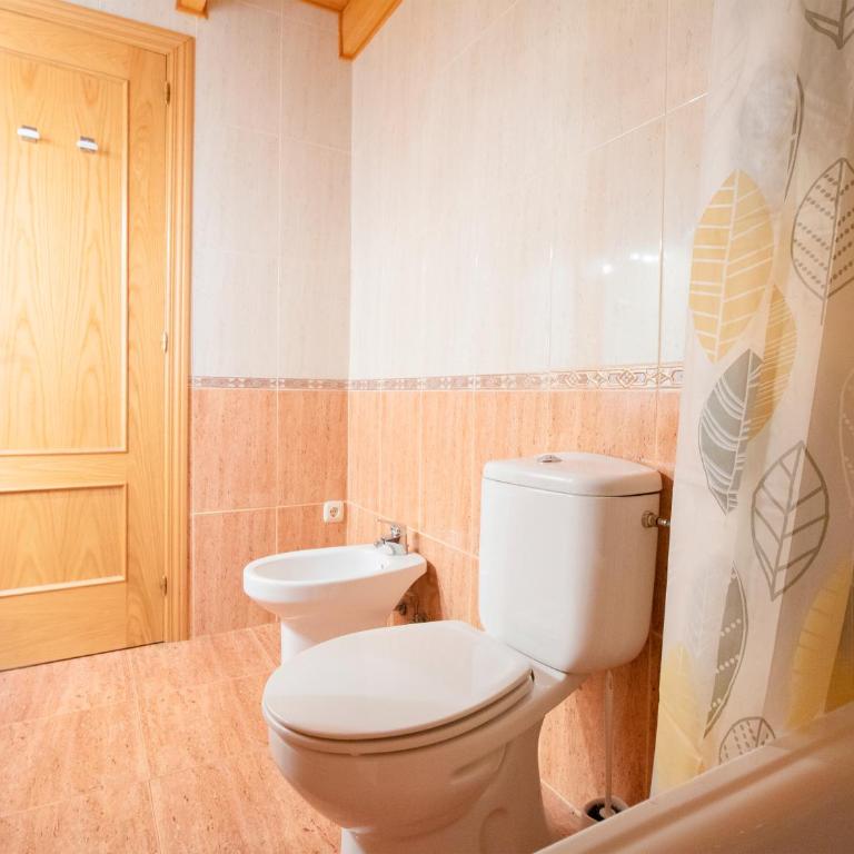 Apartamentos Canfranc 3000 - Appartement en Duplex - 7