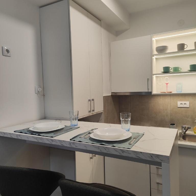 Djokic studio Novi Bubanj - Apartman sa 1 Spavaćom Sobom - 2