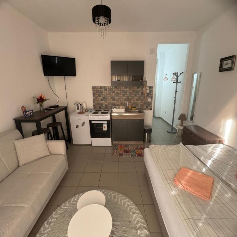 Sofi IV - Apartman sa 1 Spavaćom Sobom - 12