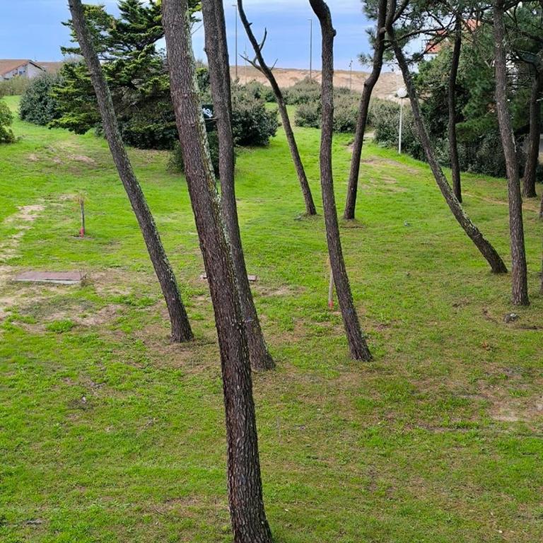 Parfum d'Elegance - Seignosse Plage - Vue sur les pins - Appartement 1 Chambre - 10