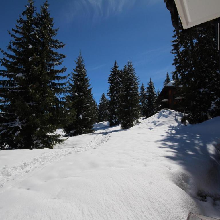 Charmant appart 3 pièces, bien équipé, 4-5 pers, parking, Les Saisies - FR-1-293-208 - Apartment (4 Erwachsene) - 10