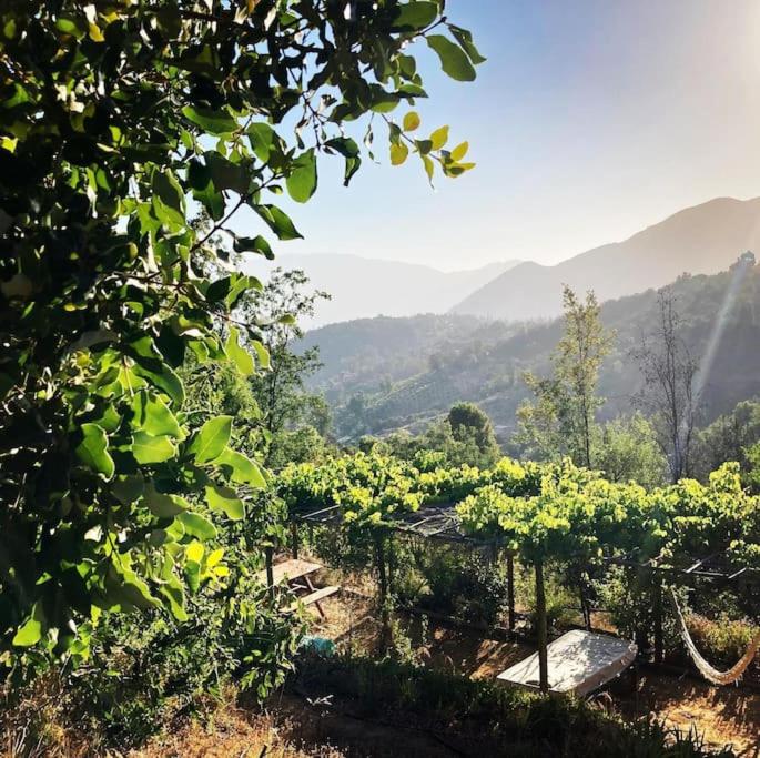 Swiss Eco Lodge La Linda Loma - Olmué - One-Bedroom Chalet - 40