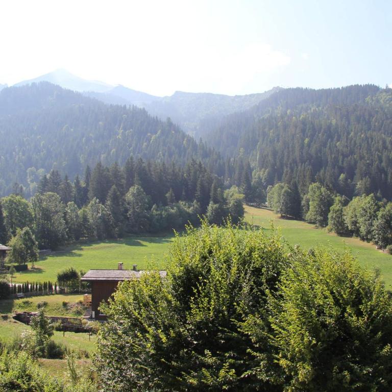 Spacieux appart rénové avec balcon sud, proche pistes et bus à La Clusaz - FR-1-459-167 - Appartamento (7 Adulti) - 13