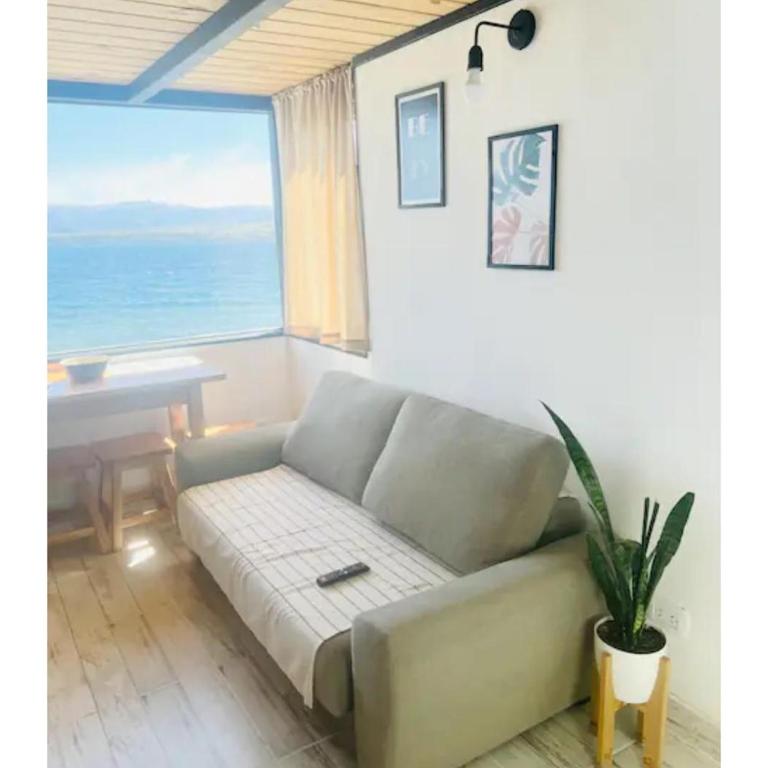 Nogal - One-Bedroom Apartment - 2