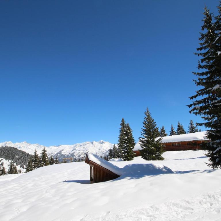 Charmant appart 3 pièces, bien équipé, 4-5 pers, parking, Les Saisies - FR-1-293-208 - Apartment (4 Erwachsene) - 15