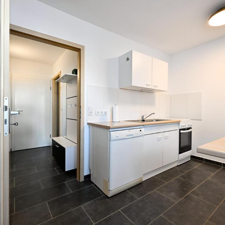 Apartment Sankt Johannis Nürnberg - Appartement 1 Chambre - 14