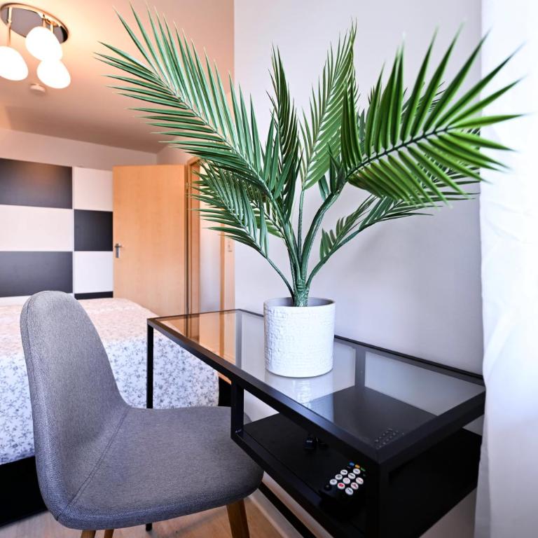 Apartment Sankt Johannis Nürnberg - Appartement 1 Chambre - 16