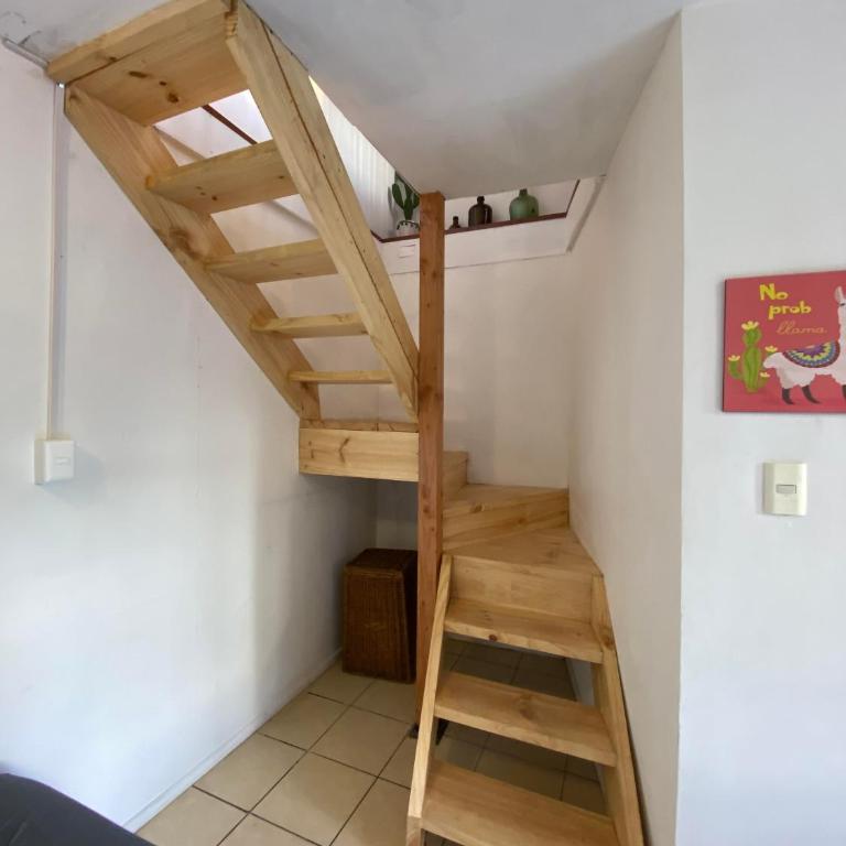 Cactu - One-Bedroom Apartment - 16