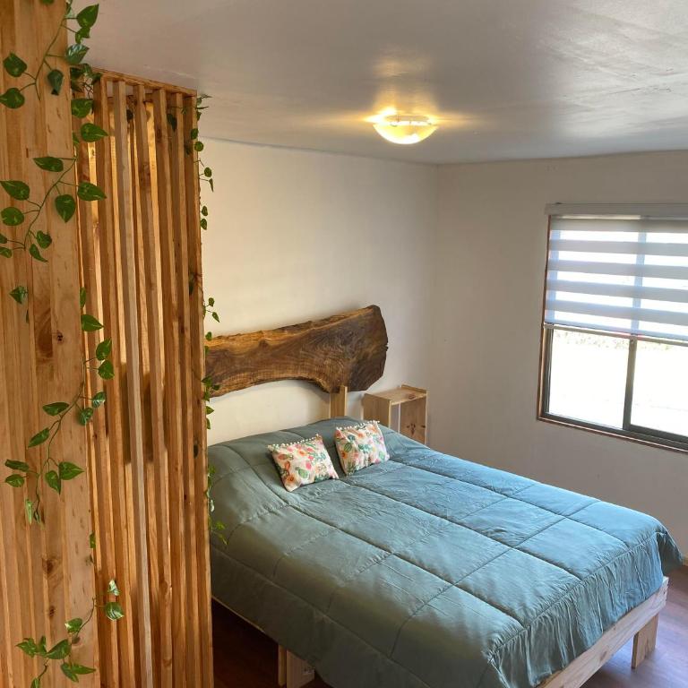 Cactu - One-Bedroom Apartment - 3
